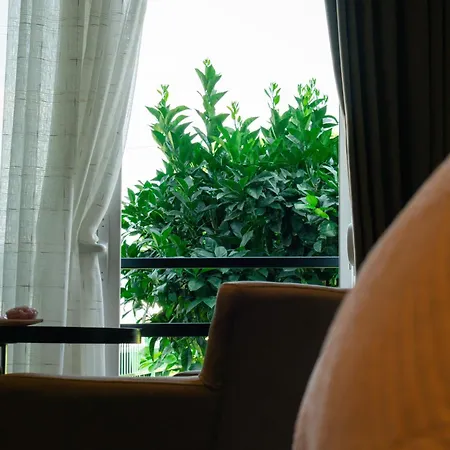 Topulli View Gjirokastra